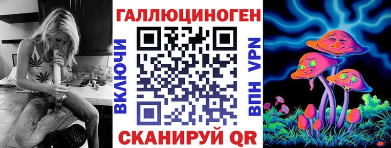 Псилоцибиновые грибы Psilocybe  mega ТОР  Дмитриев 
